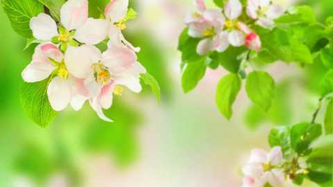 Anaconda的简介与使用教程